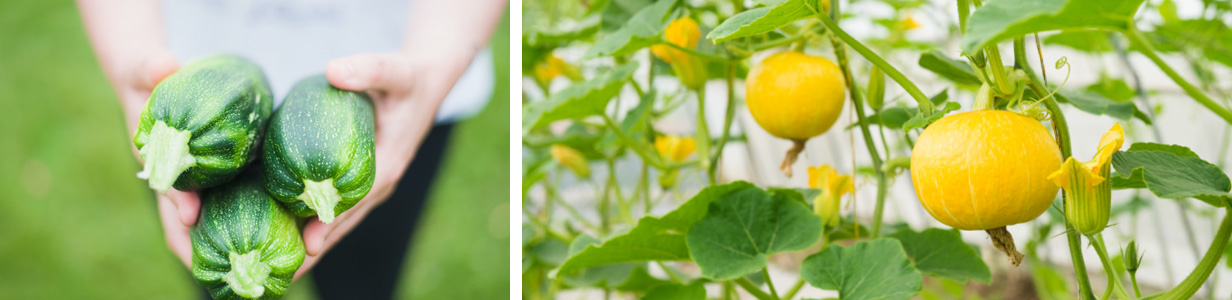 pg电子游戏试玩(中国)官方网站