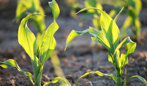 pg电子游戏试玩(中国)官方网站