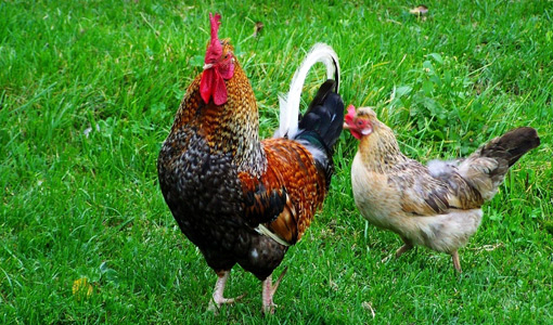 pg电子游戏试玩(中国)官方网站