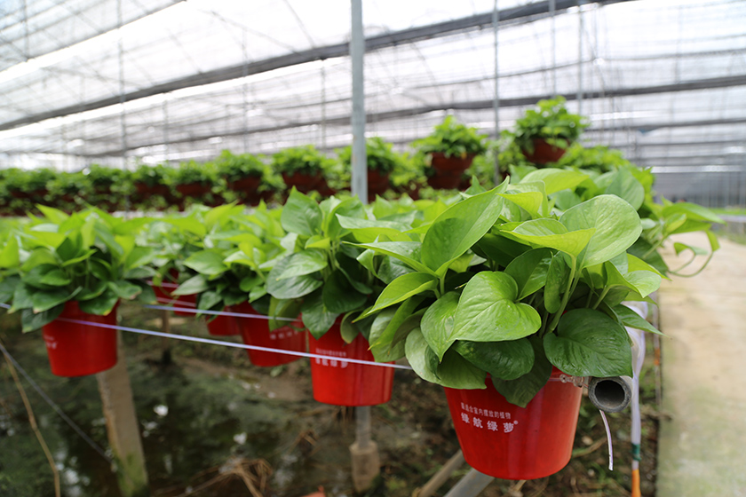 pg电子游戏试玩(中国)官方网站